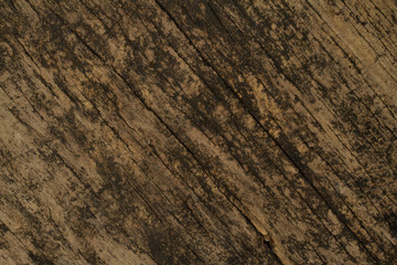 old wood background