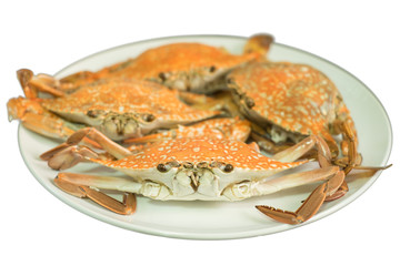 Streamed crab isolated on white background