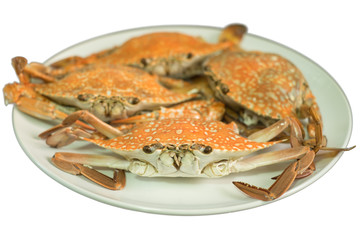 Streamed crab isolated on white background