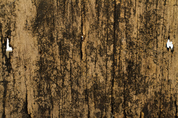 old wood background