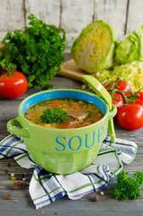 Shchi - traditional russian cabbage soup on a wooden table