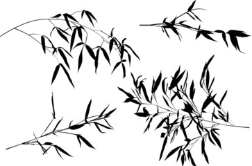 four black bamboo branches set illustration