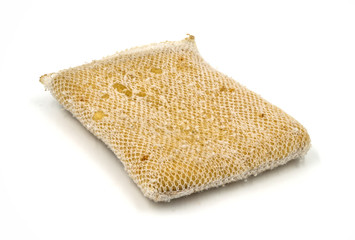 Old kitchen sponge on white background.