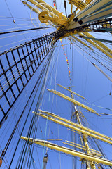 The mast of a sailing ship