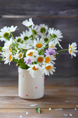 Daisies in a Vase
