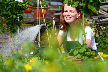 Gardener pouring plants in a greenhouse