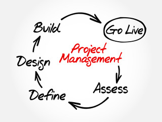 Project management mind map, business concept