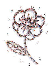 People in the shape of a flower.