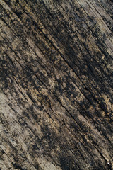 old wood background