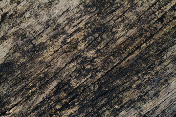 old wood background