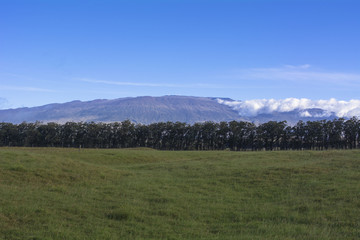 マウナケア山を望む草原牧場