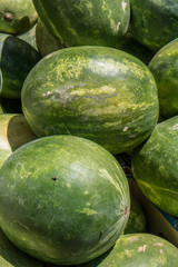 Watermelons in a market
