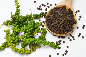 pepper and young pepper