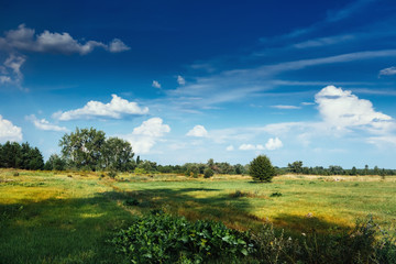 Fototapeta na wymiar countryside field cloudscape grass landscape