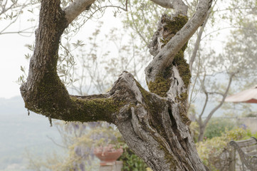 Fototapeta premium empty bench in the countryside in spring