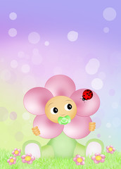 baby flower