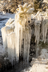 Fototapeta na wymiar Long icicles frozen branch