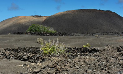 volcanic mountains at Lanzarote Island, Canary Islands, Spain