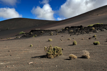 volcanic mountains at Lanzarote Island, Canary Islands, Spain