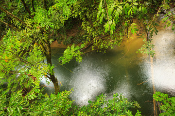 Small river in jungle