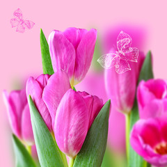 Collage with pink tulips