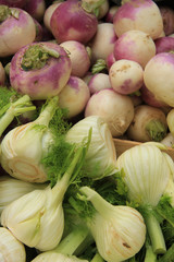 Turnip and fennel