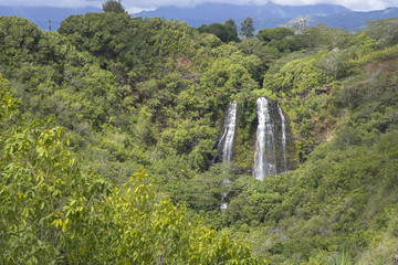 ワイルア川州立公園内のオパエカア滝