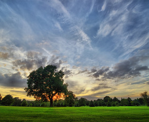 Fototapeta na wymiar sunset on golf field - HDR