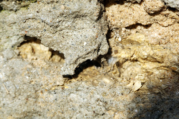 Cement textured wall background