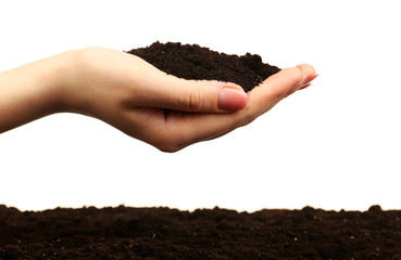 Female handful of soil isolated on white