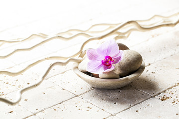 mineral cup with stones and flower for zen attitude