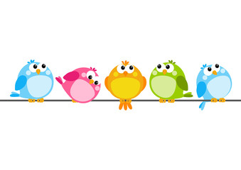 Cute color birds on white