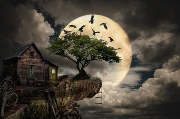 fairy house (cliff)