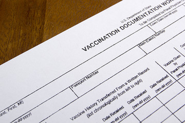 Obraz premium Vaccination Documentation Worksheet