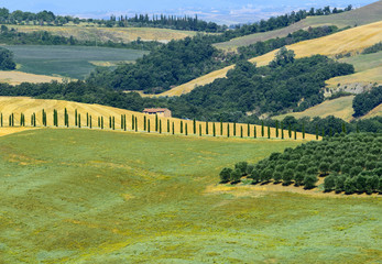 Crete Senesi (Tuscany, Italy)