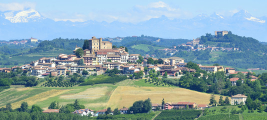 Summer landscape in Langhe (Italy)