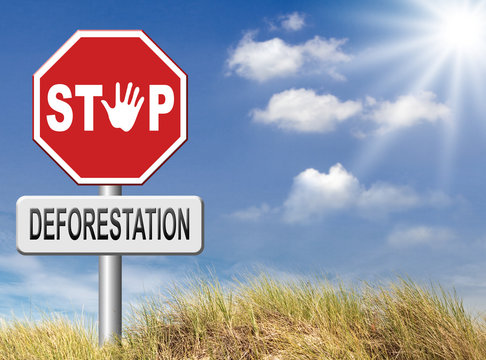 stop deforestation