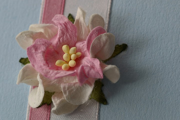 paper flower ribbon background