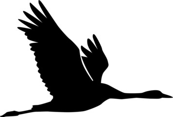 Fototapeta premium Crane Silhouette
