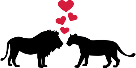 Fototapeta na wymiar Lions in love