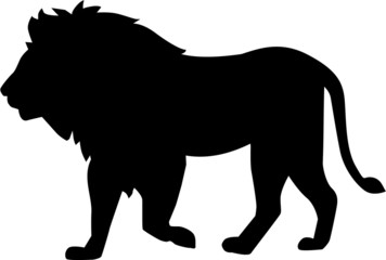 Lion walking