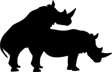 Rhinoceroses having sex