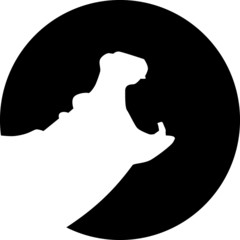 Hippopotamus