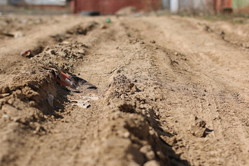 the concept of the road long way home