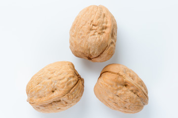 Isolated walnuts on white close up