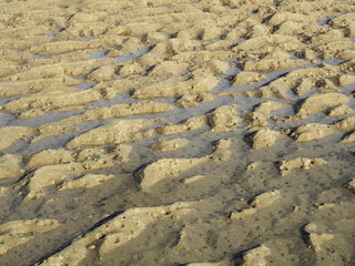 ocean water
