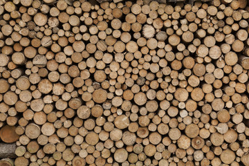 Kaminholz bei der Lagerung