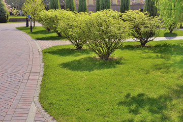 Фрагмент весеннего парка © ais60