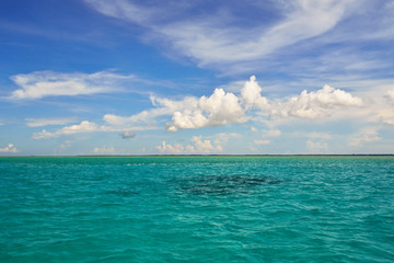 Obraz premium Turquoise sea and sky horizon with clouds for background.