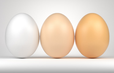 Eggs different colors